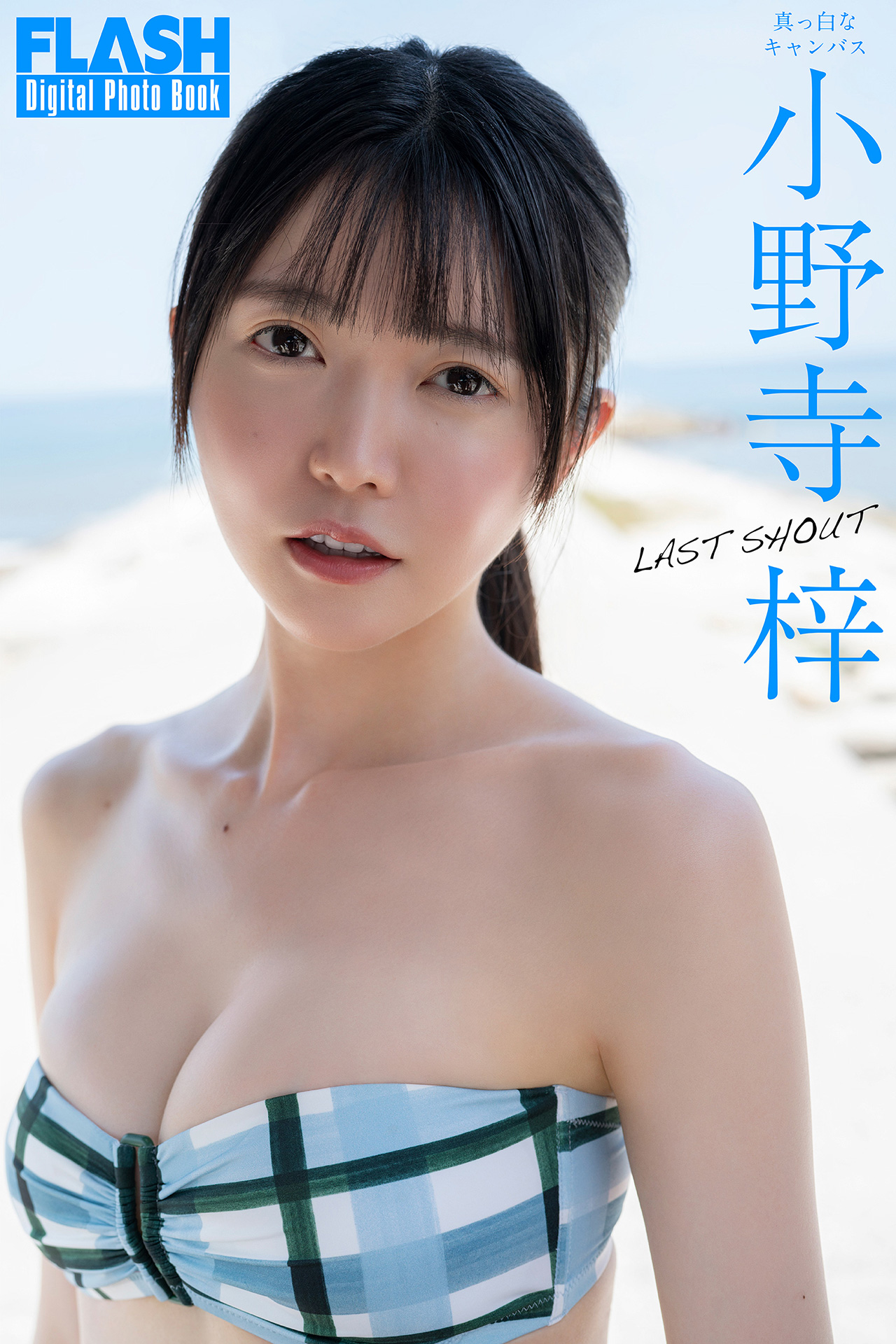 FLASHデジタル写真集 小野寺梓 LAST SHOUT【85P 47MB】-石川澪写真网